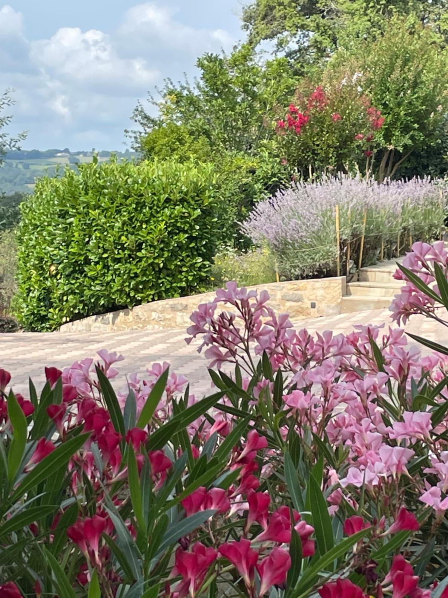 Le Logis D'eve Najac
