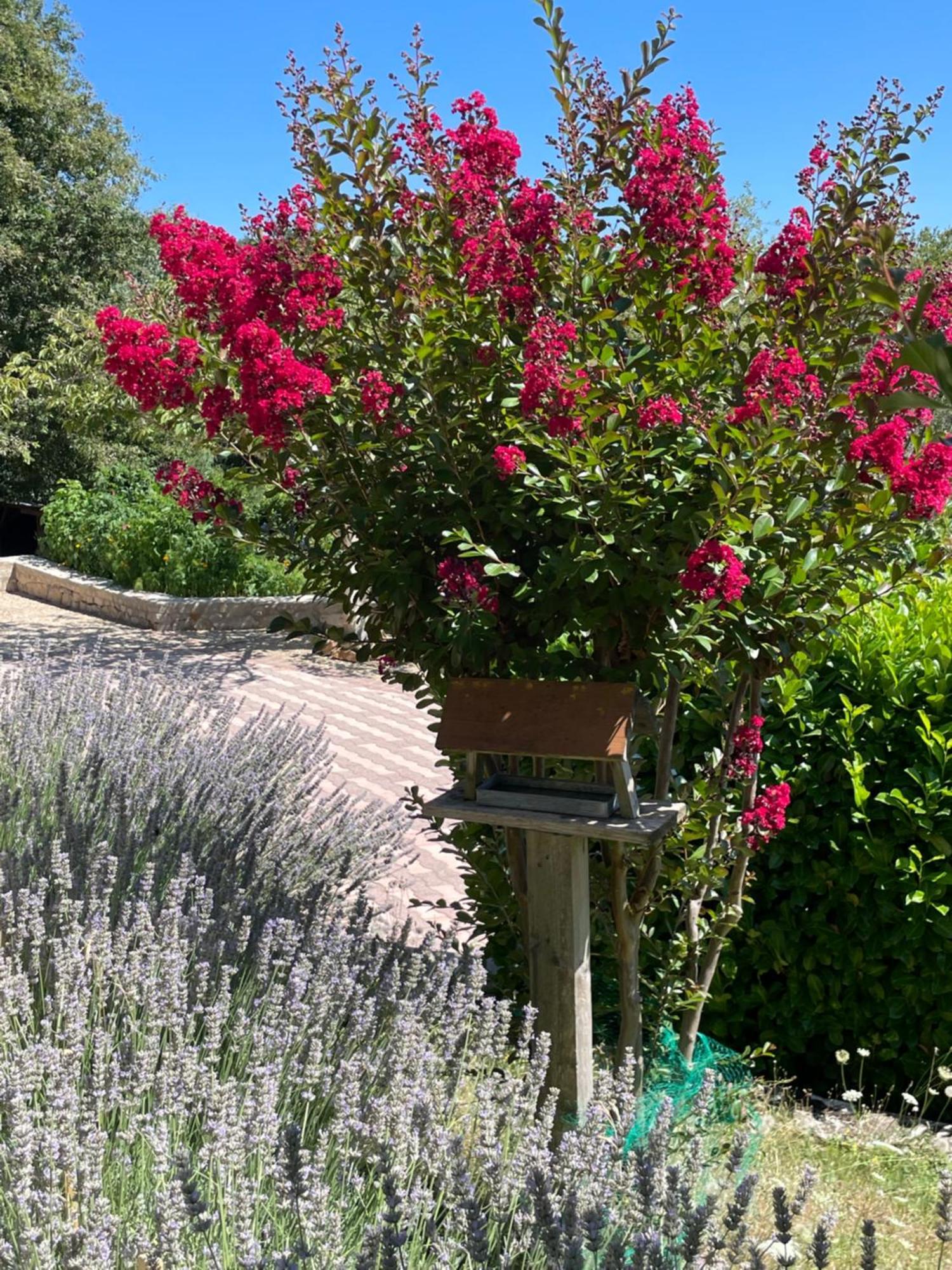 Le Logis D'eve Apartment