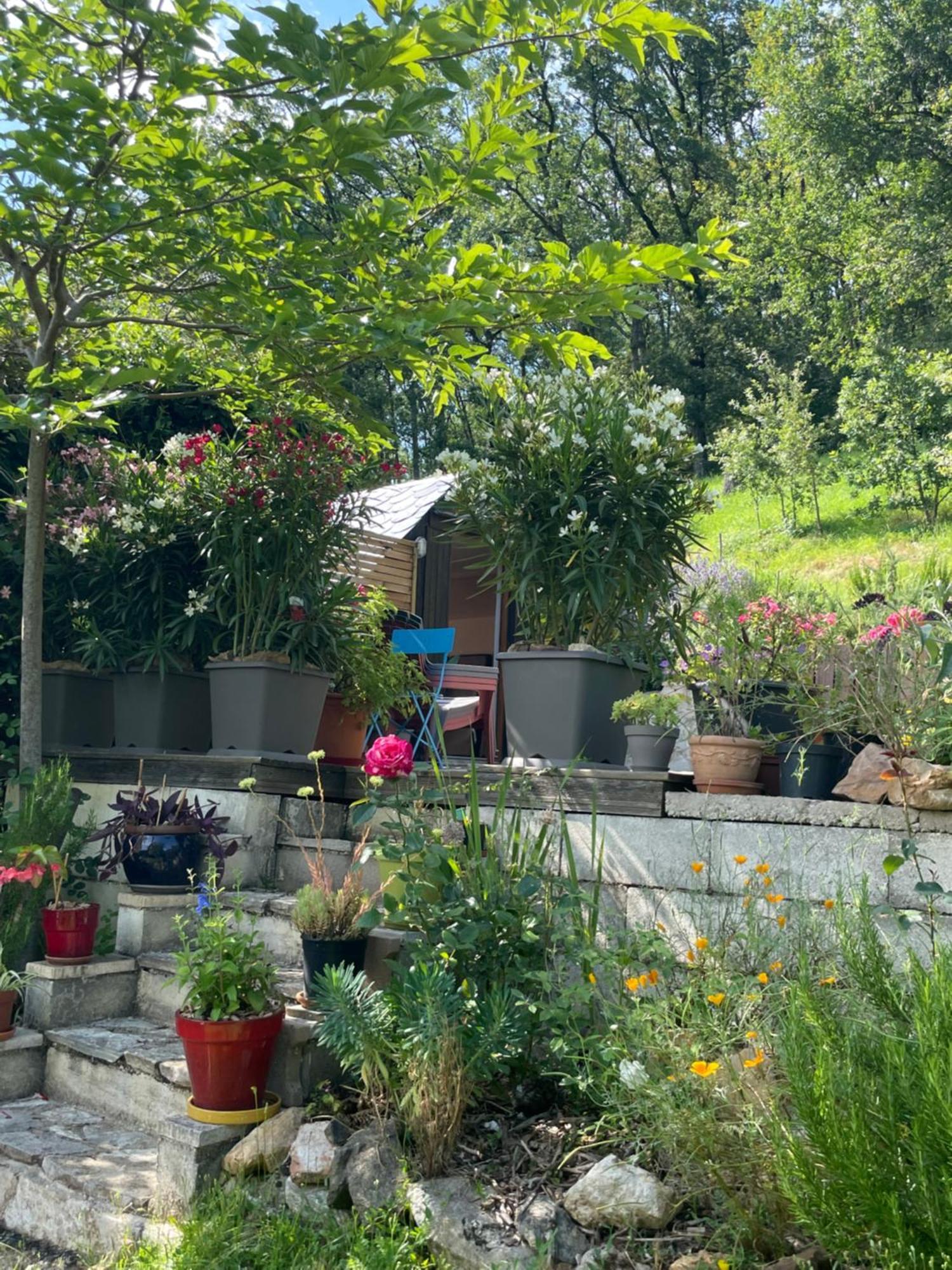Le Logis D'eve Najac