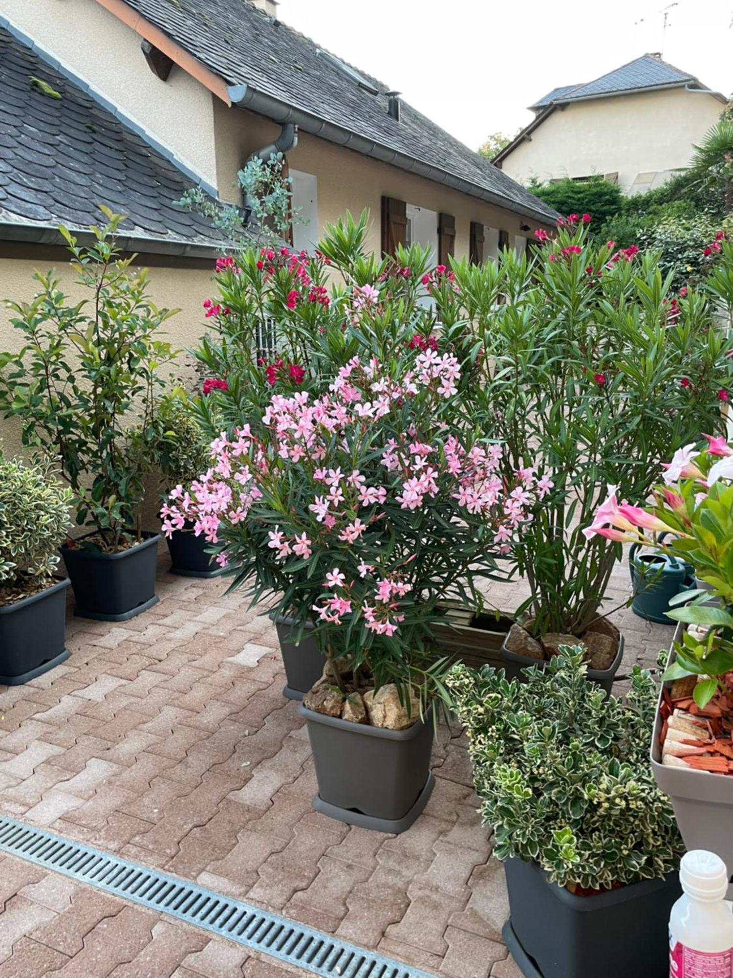Apartment Le Logis D'eve *